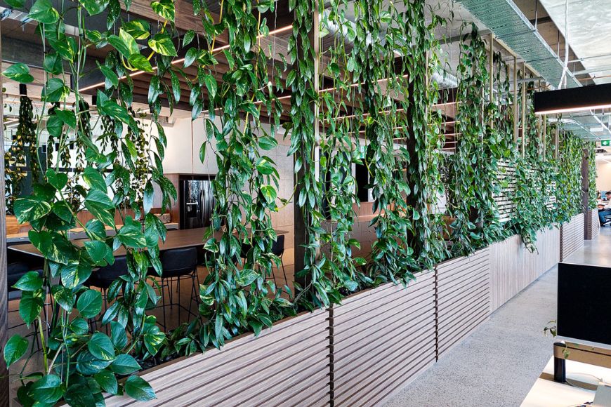 Untitled design - 2025-06-21T114005.027