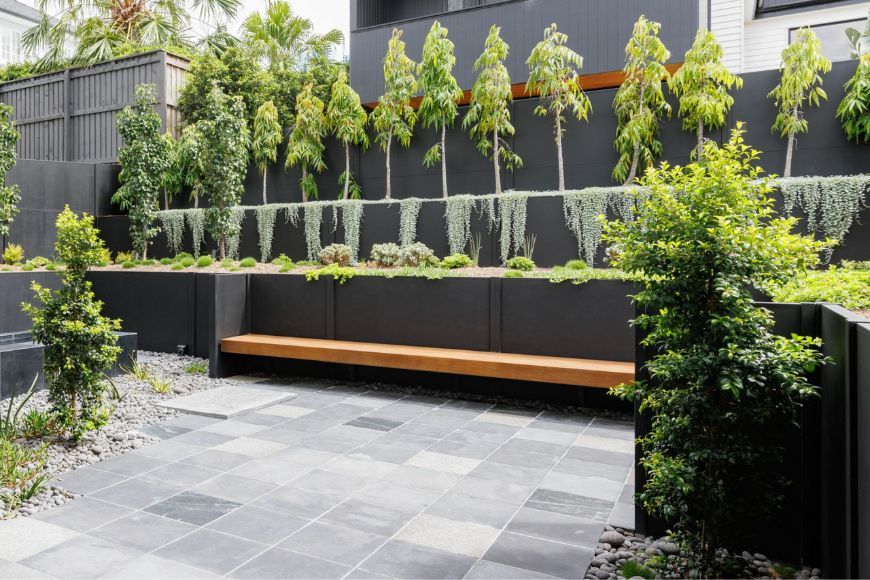 Untitled design - 2025-06-21T114655.362