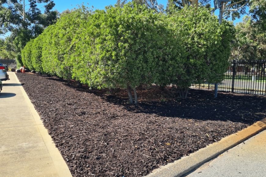 Untitled design - 2025-06-21T120751.183