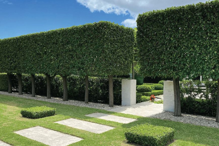 Untitled design - 2025-06-21T121042.240